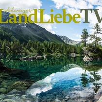LandLiebe TV Wallpaper