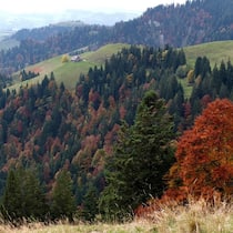 Hogerland