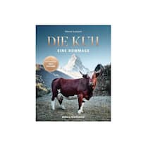 Newsletter Verlosung