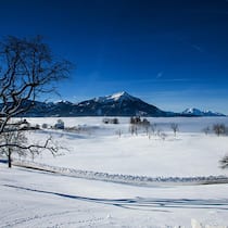 Wow! An solchen Tagen wird der Hausberg der Zugerinnen und Zuger zur Meeresdestination. Der Blick auf den nebelverhangenen See ist grandios.
