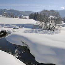 Sonne, Schnee und schöne Stunden. Ein Winterspaziergang durch das Moor bei Rothenthurm SZ sorgt für ein frohes Gemüt.