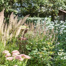 Gräser und spät blühende Stauden wie Fetthenne und Herbstanemone erfreuen im Spätsommer und bis in den Herbst hinein.