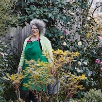 Schon im frühen Frühling blüht es bei Lilian Wernli auf allen Etagen: Kamelien schmücken die Hauswand, später folgen Rhododendren. Am Boden leuchten Lenzrosen und Narzissen neben vielen anderen.