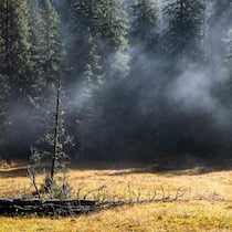 So schön kann ein Herbstmorgen auf der Lombachalp sein: Die Sonnenstrahlen brechen durch die Wolkendecke, das Moor dampft, und das Riedgras schillert in allen Farben.