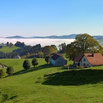 Über dem Bodensee liegt noch Morgennebel, doch die Höhen rund um Schwellbrunn AR sind bereits von der Sonne verwöhnt: Im Aufstieg vom Dorf nach Högg gibt es viel Licht und Weite.