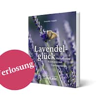 buchverlosung.png