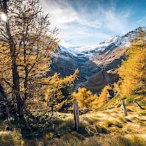 Goldener Start: Nach einem Kaffee auf der Alp Grüm winken wir dem Piz Palü (hinten rechts) und machen uns auf den Weg zur Hochebene Cavaglia.