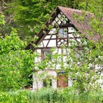 Die Kartause Ittingen ist ein wahres Kleinod unweit der Thur. Auf dem Gelände des ehemaligen Klosters gibt es auch einen Teich mit eigener Fischzucht.