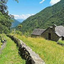 Altes Handwerk: Vielerorts säumen Trockensteinmauern die Wege der Via del Mercato, wie hier beim Abstieg von Calezzo nach Intragna.