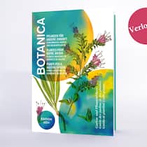 Verlosung