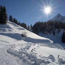 Während die Nordflanke des Piz Rugnux (2890 m) noch im Schatten liegt, leuchtet der Schnee auf den Alpweiden zwischen Stuls und Latsch bereits im Sonnenschein.