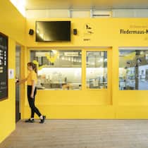 Fledermaus-Notpflegestation