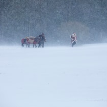 Samichlaus und Esel im Schnee
