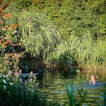 Anna Ammann geniesst ein erfrischendes Bad im Schwimmteich. Schilf und Seggen helfen, das Wasser auf natürliche Weise zu reinigen.