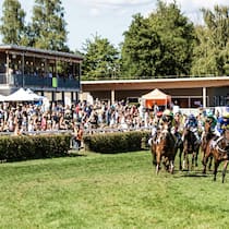 Horse Park Zürich Dielsdorf
