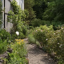 Ein Kiesweg führt vom kleinen Ziergarten in den grösseren, dahinter liegenden Gartenbereich. Die Wege und Beete sind bis heute mit den ursprünglichen formwilden Kalksteinen eingefasst.
