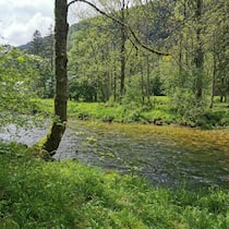 Nachdem die Orbe eine abenteuerliche Reise durch Klüfte und Höhlen gemeistert hat, plätschert sie durch den Talboden bei Vallorbe VD.