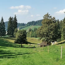 Heimeliger Hüniboden: Die Wanderung zur Hügelkuppe des Vesuvs führt durch Bergwälder und üppig grünes Weideland.