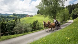 Jakob und Sandra Furrer haben ihre Freiberger Sir Lanzelot und Jeannette vor den Marathonwagen gespannt und fahren mit der Familie aus. Im Hintergrund ihr Hof Lärboden, inmitten der hügeligen Napf-Ausläufer.