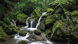 In der Twannbachschlucht zwischen Magglingen und Twann BE braucht es gutes Schuhwerk – und viel Zeit zum Bestaunen der Moos- und Felsformationen.