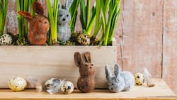 SL_sandra_ostern-12.jpg
