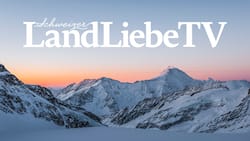 LandLiebeTV Wallpaper Staffel 1