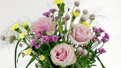 Design-#28-–-Pastel-Meadow-Whimsy_OPTIMIZED.jpg