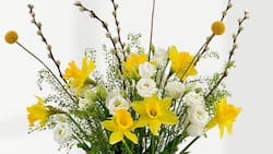 Blume April