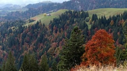 Hogerland