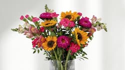 Blumenliebe
