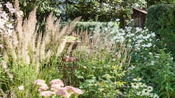 Gräser und spät blühende Stauden wie Fetthenne und Herbstanemone erfreuen im Spätsommer und bis in den Herbst hinein.