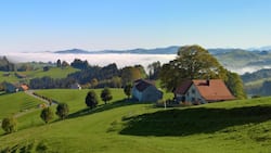 Über dem Bodensee liegt noch Morgennebel, doch die Höhen rund um Schwellbrunn AR sind bereits von der Sonne verwöhnt: Im Aufstieg vom Dorf nach Högg gibt es viel Licht und Weite.