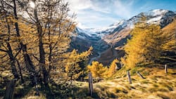 Goldener Start: Nach einem Kaffee auf der Alp Grüm winken wir dem Piz Palü (hinten rechts) und machen uns auf den Weg zur Hochebene Cavaglia.