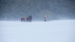 Samichlaus und Esel im Schnee