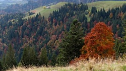 Hügel um Hügel einfach wunderbar! Unterwegs zwischen Lushütte und Hochänzi im Emmental.