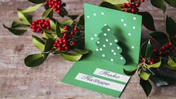 SL_SANDRADANGEL_POPUPCARDS-9.jpg