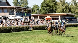 Horse Park Zürich Dielsdorf