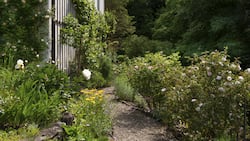 Ein Kiesweg führt vom kleinen Ziergarten in den grösseren, dahinter liegenden Gartenbereich. Die Wege und Beete sind bis heute mit den ursprünglichen formwilden Kalksteinen eingefasst.