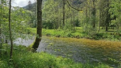 Nachdem die Orbe eine abenteuerliche Reise durch Klüfte und Höhlen gemeistert hat, plätschert sie durch den Talboden bei Vallorbe VD.