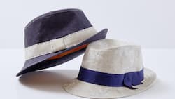 LL_03_18_Trilby.jpg