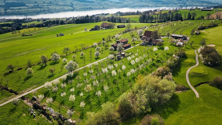 DJI_20240407093905_0019_D_conv.jpeg