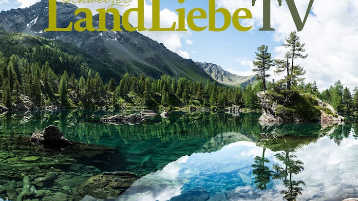 LandLiebe TV Wallpaper