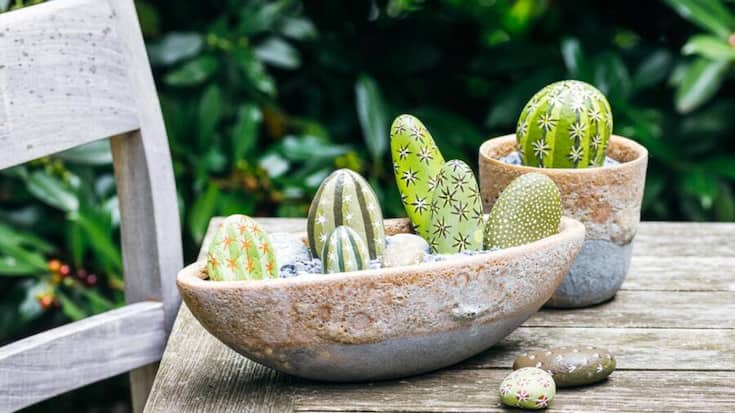 Versteinerter Kaktus