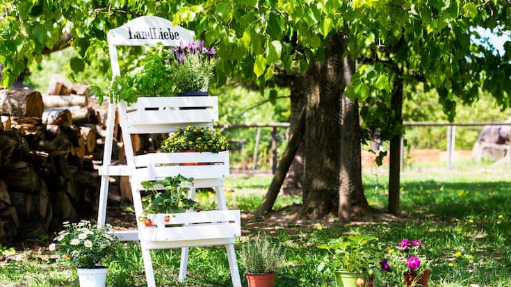 Pflanzentreppe Sandra Dangel