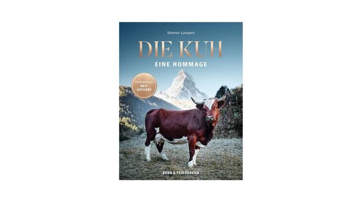 Newsletter Verlosung