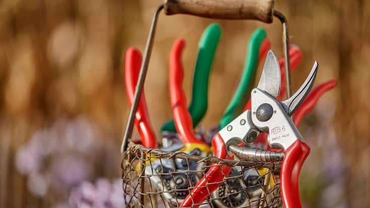 Newsletter Bilder Template - Garten