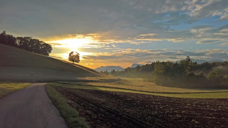 Wandern