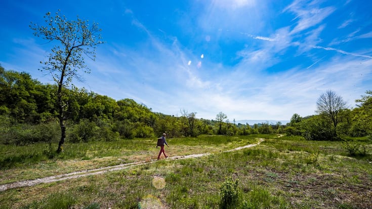 Wandern