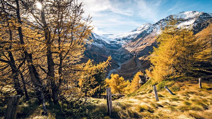 Wandern