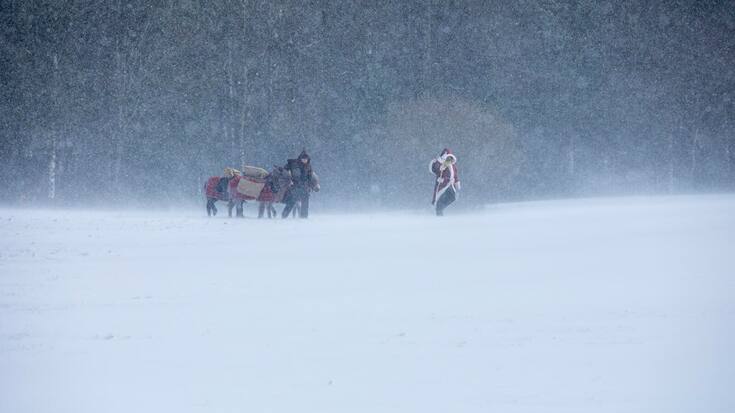Samichlaus und Esel im Schnee